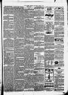 Cheshire Observer Saturday 04 March 1871 Page 3