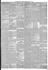 Huddersfield Chronicle Saturday 16 April 1853 Page 7