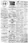 Isle of Man Times Saturday 17 November 1877 Page 7