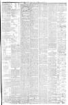 Isle of Man Times Saturday 28 June 1879 Page 5