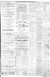 Isle of Man Times Saturday 28 June 1879 Page 7