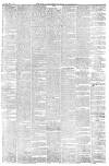 Isle of Man Times Saturday 08 May 1880 Page 5