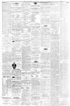 Isle of Man Times Saturday 10 July 1880 Page 4
