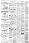 Isle of Man Times Saturday 17 July 1880 Page 7