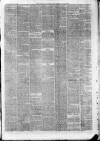 Isle of Man Times Saturday 21 January 1882 Page 5