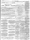 Isle of Wight Observer Saturday 10 April 1875 Page 3