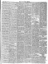 Isle of Wight Observer Saturday 10 April 1875 Page 5