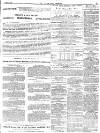Isle of Wight Observer Saturday 17 April 1875 Page 3