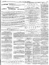 Isle of Wight Observer Saturday 24 April 1875 Page 3