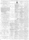 Isle of Wight Observer Saturday 01 June 1878 Page 4