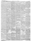 Isle of Wight Observer Saturday 30 October 1880 Page 5