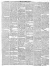 Isle of Wight Observer Saturday 15 January 1881 Page 5