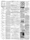 Isle of Wight Observer Saturday 28 May 1881 Page 3