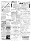 Isle of Wight Observer Saturday 23 April 1892 Page 3