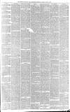 Leicester Chronicle Saturday 18 April 1885 Page 7