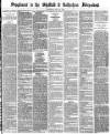 Sheffield Independent Saturday 22 May 1875 Page 9