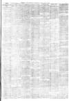 Sheffield Independent Friday 25 May 1877 Page 3