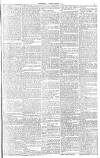 Sheffield Independent Friday 24 December 1880 Page 23