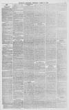 Bath Chronicle and Weekly Gazette Thursday 11 March 1875 Page 7