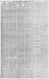 Bath Chronicle and Weekly Gazette Thursday 01 April 1875 Page 7