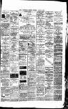 Aris's Birmingham Gazette Saturday 03 March 1877 Page 3