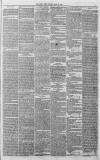 Liverpool Daily Post Tuesday 26 June 1855 Page 3