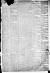 Liverpool Daily Post Wednesday 02 February 1859 Page 3