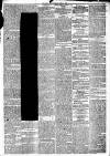 Liverpool Daily Post Tuesday 25 April 1865 Page 5