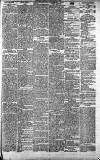 Liverpool Daily Post Saturday 01 April 1871 Page 7