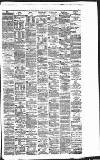 Liverpool Daily Post Saturday 15 January 1876 Page 3