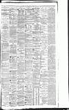 Liverpool Daily Post Wednesday 19 April 1876 Page 3