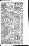 Liverpool Daily Post Friday 09 June 1876 Page 3