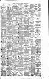 Liverpool Daily Post Saturday 30 December 1876 Page 3