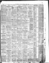 Liverpool Daily Post Thursday 05 April 1877 Page 3