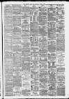 Liverpool Daily Post Saturday 05 April 1879 Page 3