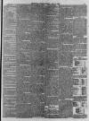 Leicester Journal Friday 01 July 1859 Page 3