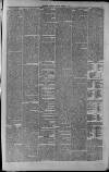 Leicester Journal Friday 04 August 1876 Page 7