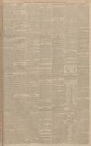 Manchester Courier Saturday 30 March 1895 Page 19