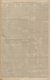 Manchester Courier Saturday 04 April 1903 Page 19