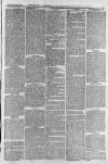 Aldershot Military Gazette Saturday 17 June 1876 Page 3
