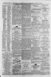 Aldershot Military Gazette Saturday 15 January 1876 Page 7