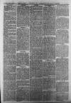 Aldershot Military Gazette Saturday 31 March 1877 Page 4