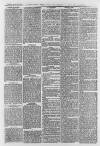 Aldershot Military Gazette Saturday 25 January 1879 Page 3
