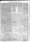 South London Press Saturday 10 June 1871 Page 11