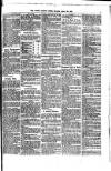 South London Press Saturday 23 March 1872 Page 7