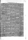 South London Press Saturday 01 June 1872 Page 3