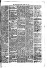 South London Press Saturday 01 June 1872 Page 7