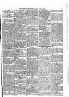 South London Press Saturday 10 March 1877 Page 17
