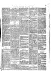 South London Press Saturday 10 March 1877 Page 19