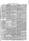 South London Press Thursday 29 March 1877 Page 3